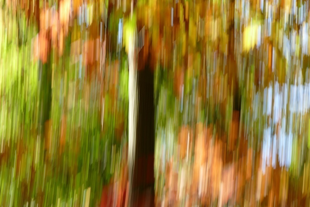 P4030845_a | Annaeherungen - Realisiert mit Pictrs.com