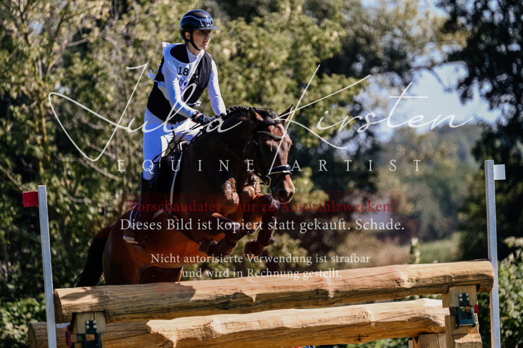 DSC_1317 | Pferde- und Turnierfotografie in Westsachsen. Pferdeportraits, Auftragszeichnungen und intuitive Kunst.