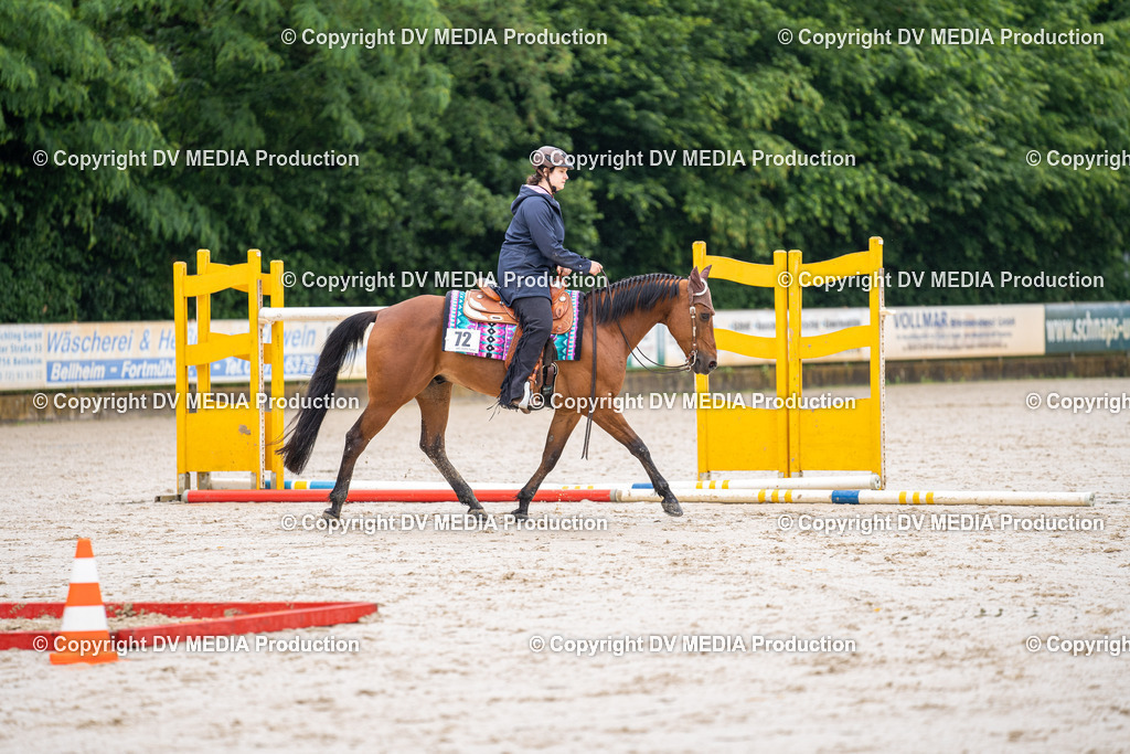 Zeiskam Tag 1-394 | dv-media-shop - Realisiert mit Pictrs.com