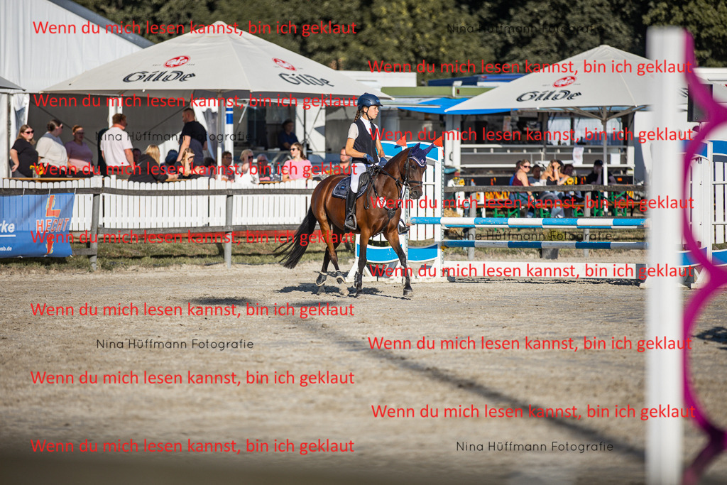 BK1A7875 | Turnierbilder Turnierfotos Nina Hüffmann Turnierfotografie Pferdefotografie Tierzeichnung Haustierzeichnung Pferdezeichnung Hundezeichnung Videograf  - Realisiert mit Pictrs.com