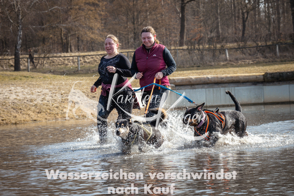 1126_ZZ94559 | kk-dogfotos
