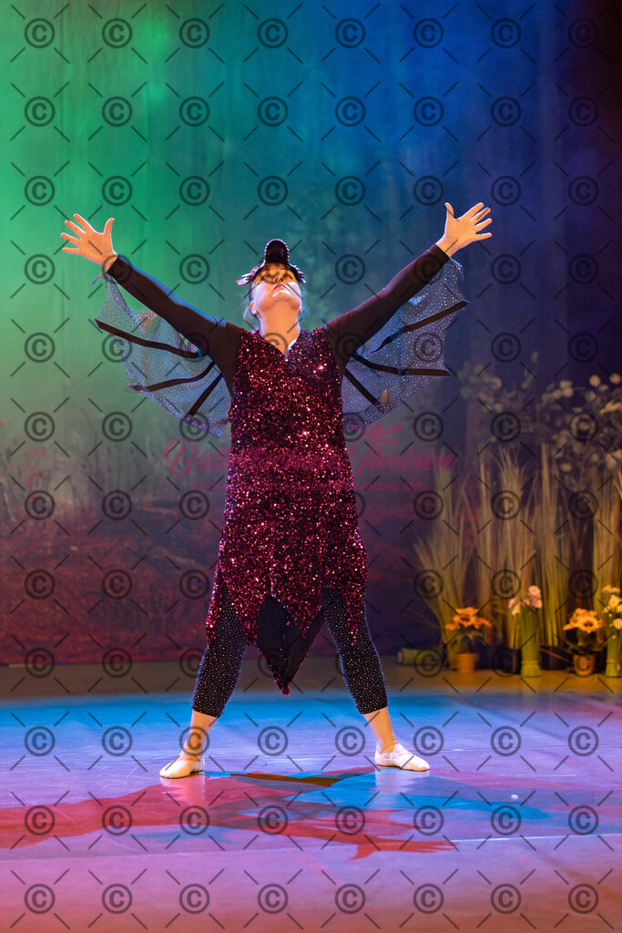 Ballettaufführung-713 | Bildershop Lem'n Entertainment - Realisiert mit Pictrs.com