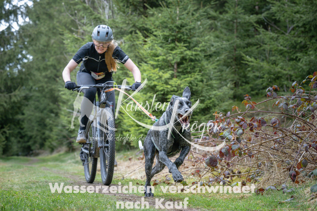1310_ZZ93858 | kk-dogfotos