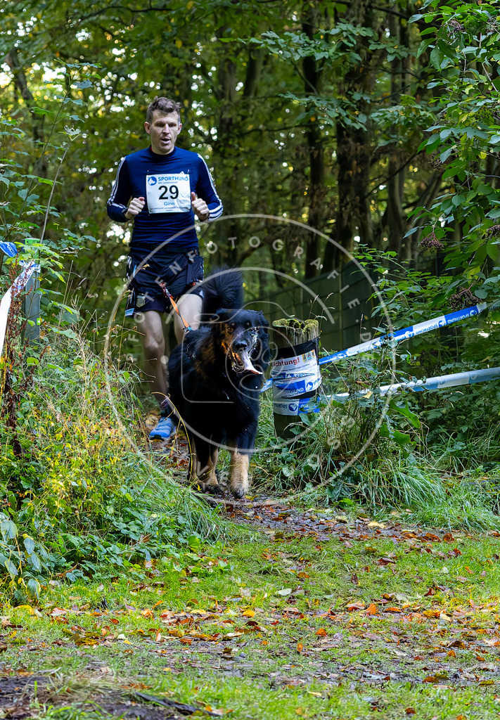 Pfotenfotografie_DV3A6599 | Hundefotografie, Tierfotograf, Pfotenfotografie, Fotoshooting Hund, Hunde Portrait, Hundesport, Hundeportraits, Heideshooting, Hunde, Sportfotograf, Hundefotograf, Turnierhundsport, THS,  - Realisiert mit Pictrs.com