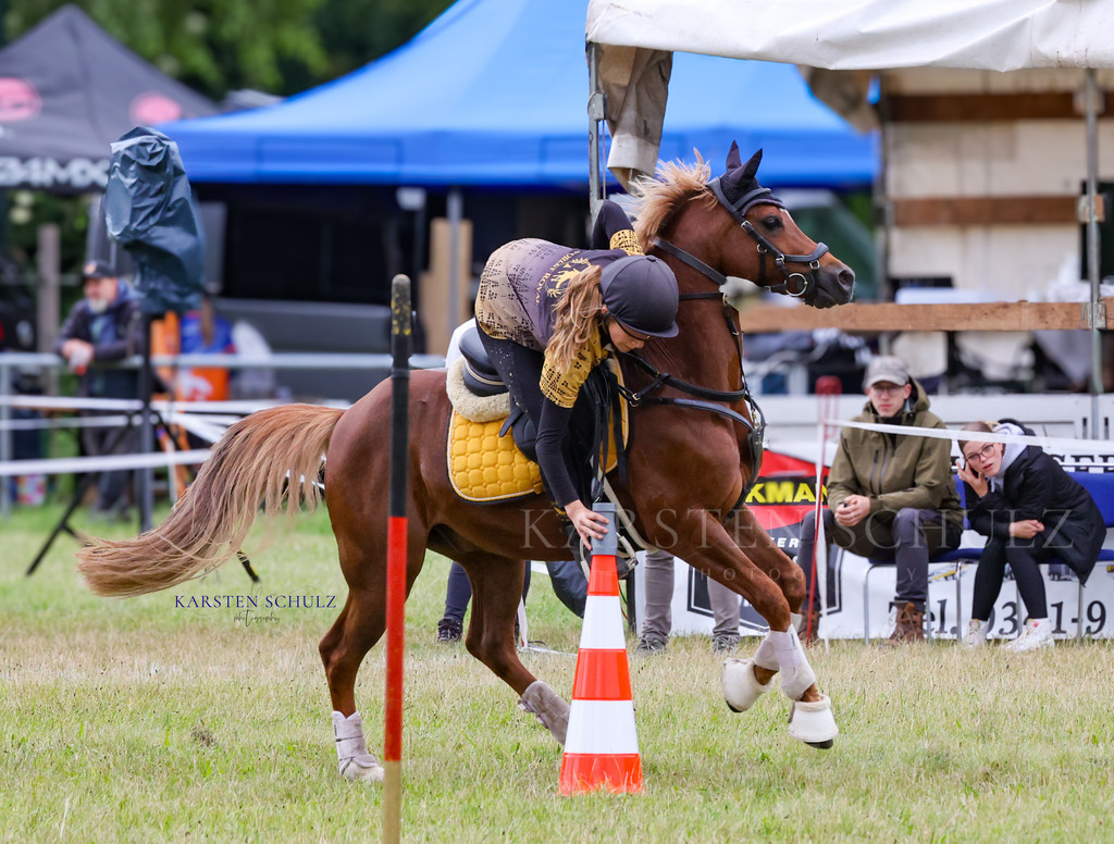 1B3A1572 | Reitsport Reiten