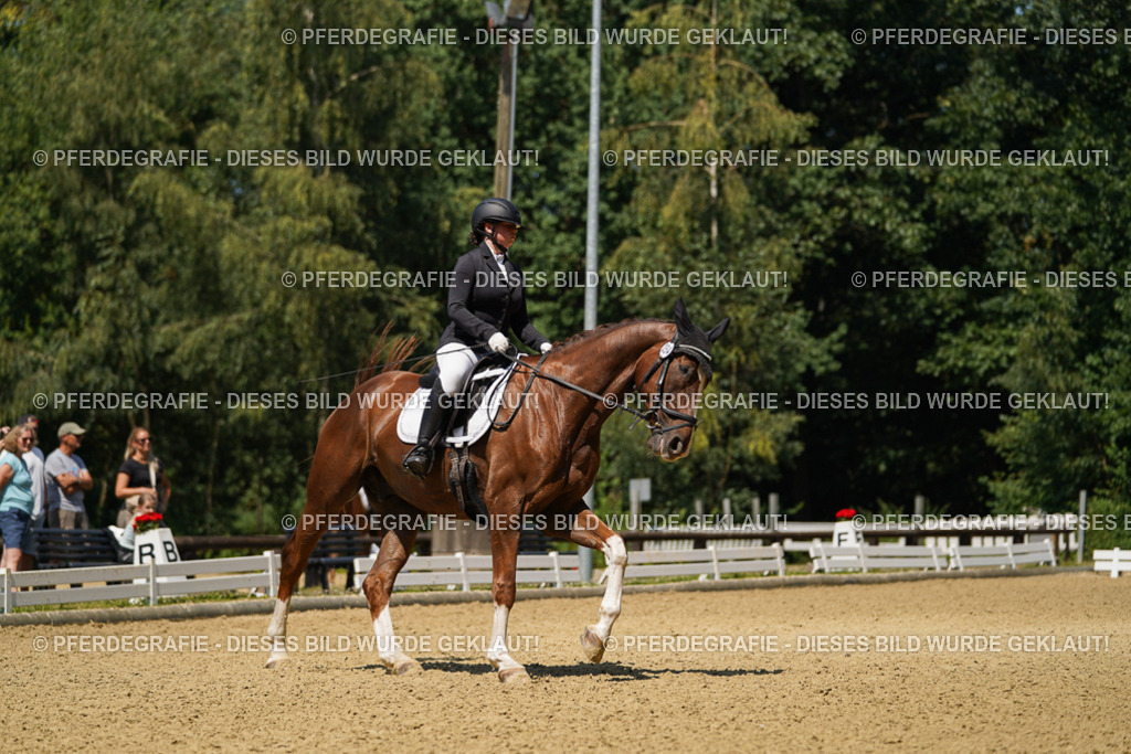 DSC05214 | Pferdegrafie