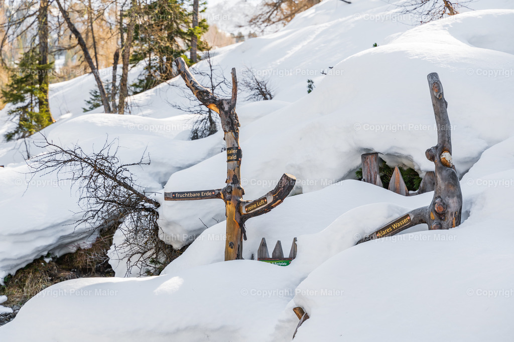 Skitour_Filzmooshörndl_Großarl-1 | piet_flosse