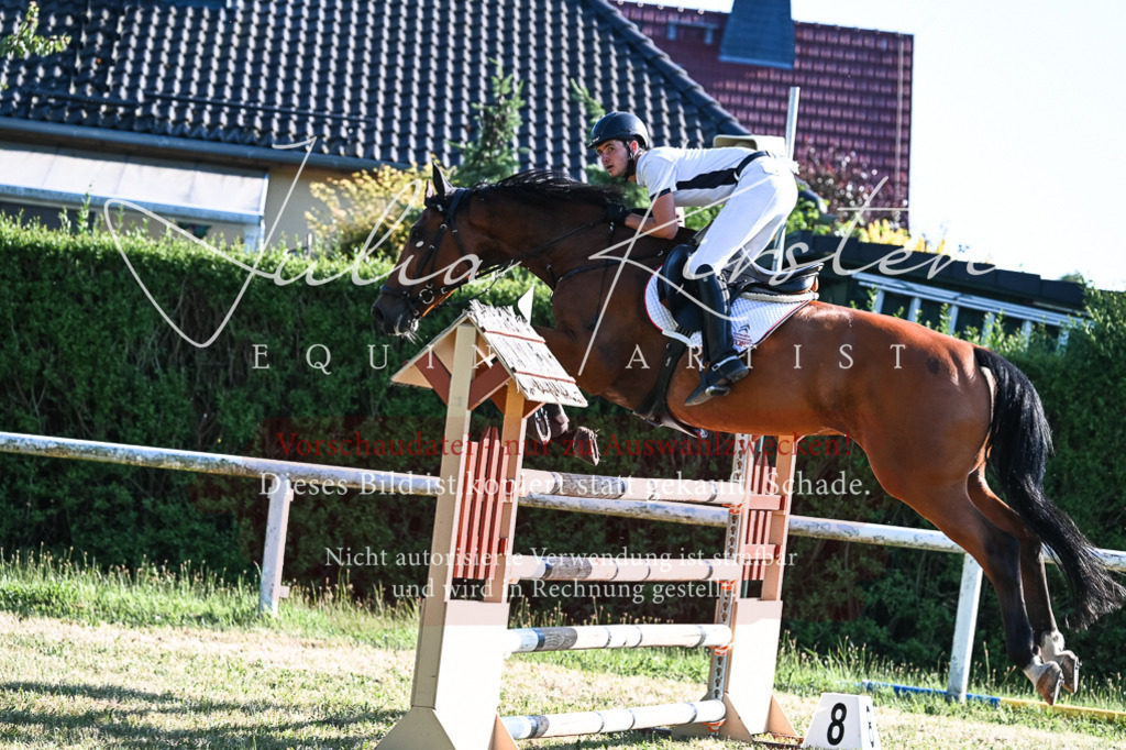 DSC_2682 | Pferde- und Turnierfotografie in Westsachsen. Pferdeportraits, Auftragszeichnungen und intuitive Kunst.