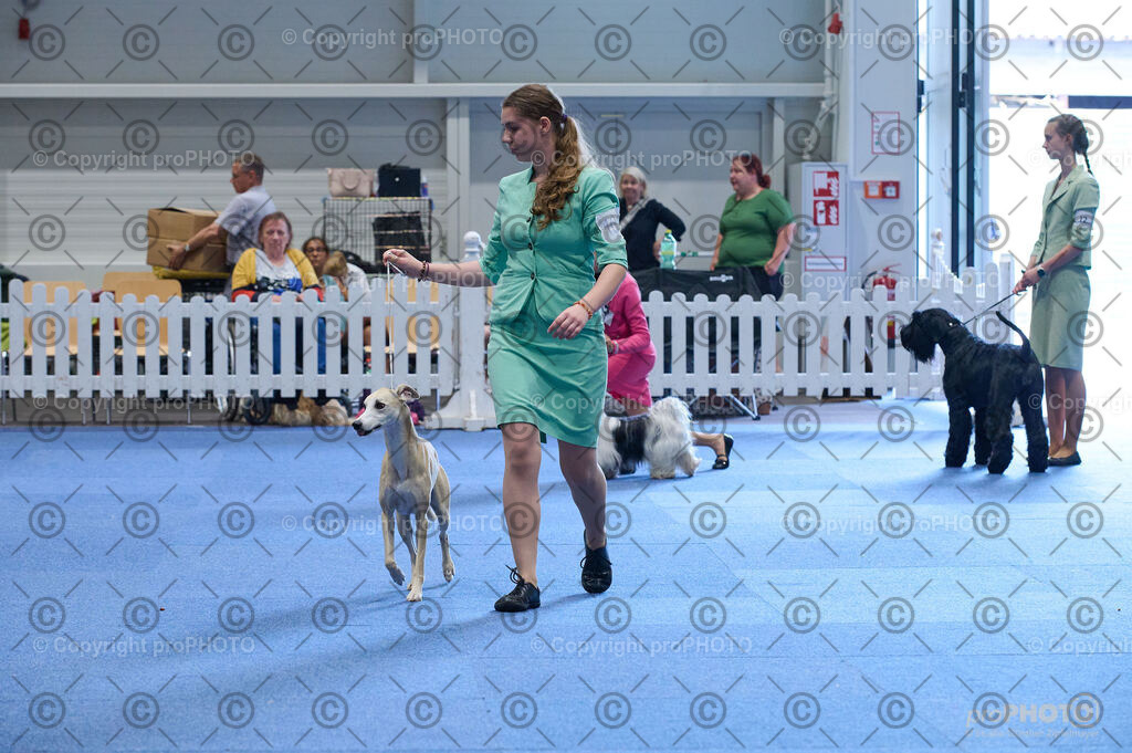 202406_ÖKV-IHA-Tulln24_DSC_4751 | proPHOTO - Realisiert mit Pictrs.com