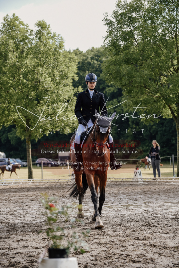 DSC_9024 | Pferde- und Turnierfotografie in Westsachsen. Pferdeportraits, Auftragszeichnungen und intuitive Kunst.