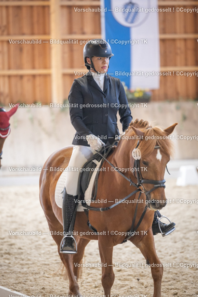 _D5A5496 | Emotionale Pferde- & People-Fotografie rund um Heidelberg, Leimen & Umgebung. Natürliche Fotos von Pferd, Mensch & Familie. Jetzt Termin sichern!