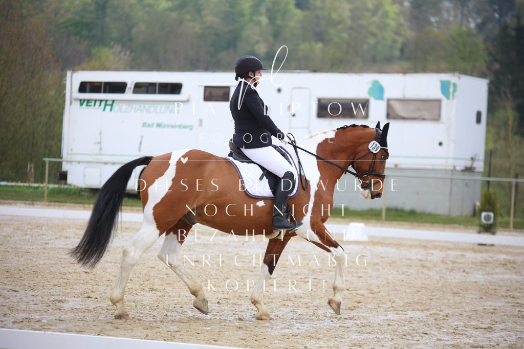 IMGT3941 | pl-fotografie