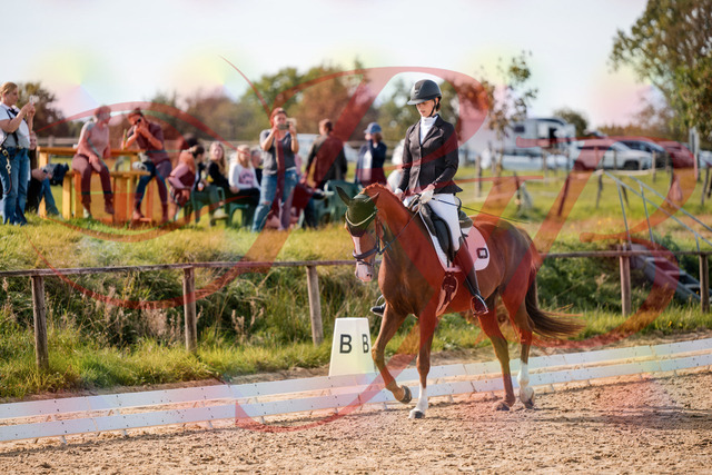 2026_10_03_Siefer-Hof_132817_Z63_88691125 | Professionelle Reitsport-, Turnier- und Eventfotografie von Robert Broda. Galerien mit ausgewählten und bearbeiteten Bildern direkt online ansehen und bestellen.
