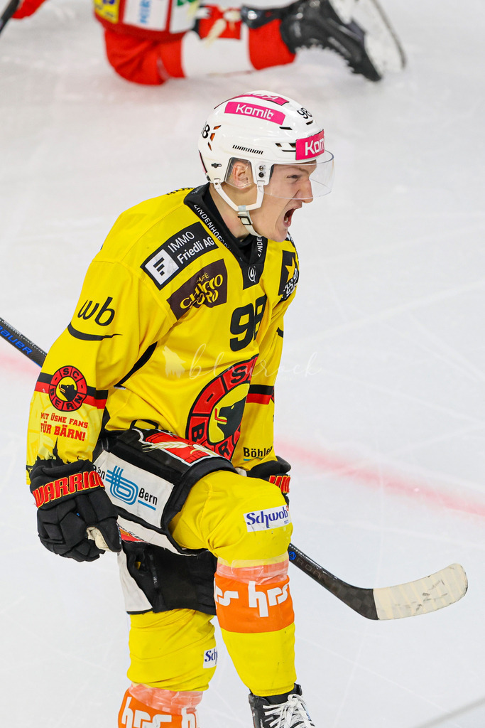 EHC Biel-Bienne - SC Bern - 29. November 2024 | EHC Biel-Bienne - SC BernTissot Arena, Biel-BienneBild: Waltraud Blaurock | Blaurock Pix