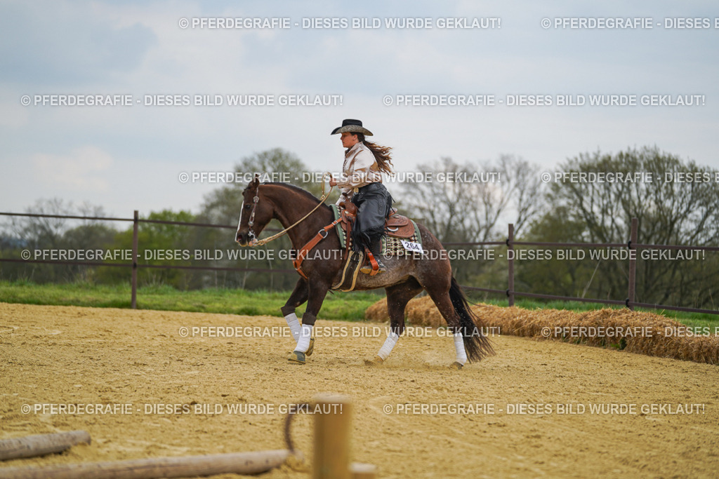 DSC07426 | Pferdegrafie