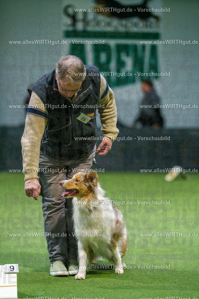 7R505082 | Professionelle Tierfotografie in Mönchengladbach von Daniel Wirth (allesWIRTHgut). Liebevolle & natürliche Bilder von Hunden & Katzen für unvergessliche Erinnerungen.