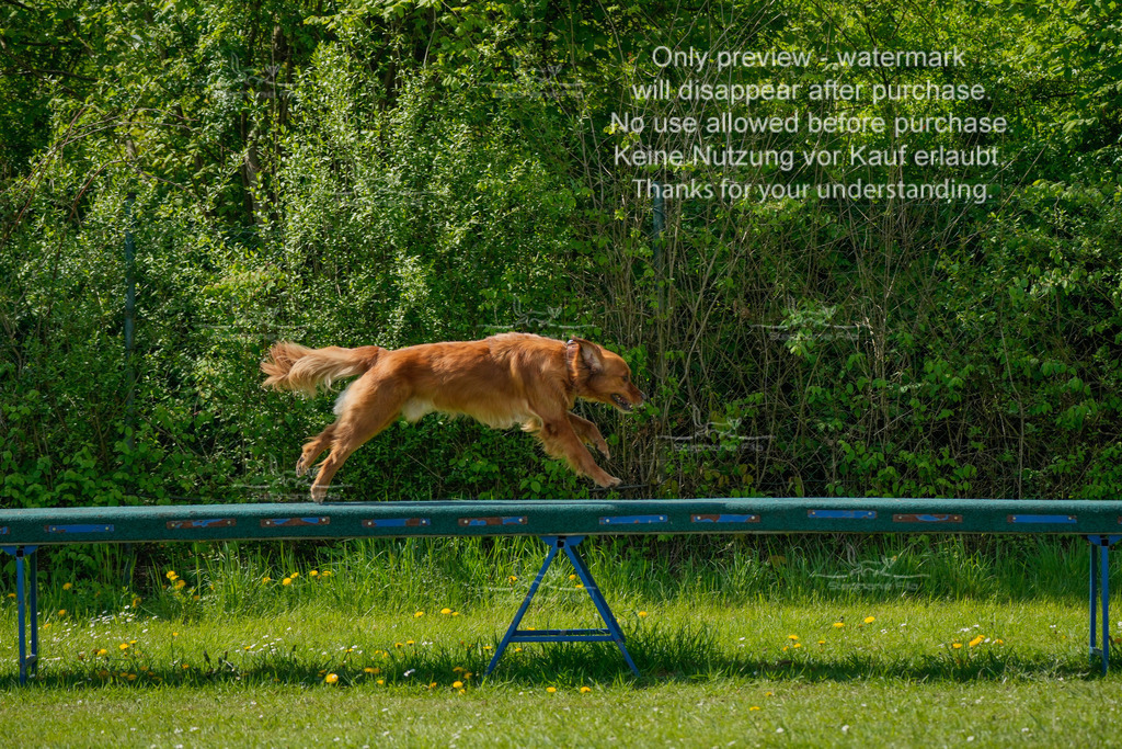 Sa_Laeufe_VK1und2_03-9 | stephaniefillaphotographie - Realisiert mit Pictrs.com