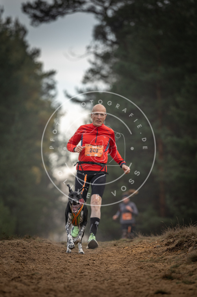 Pfotenfotografie_DV3A5665 | Hundefotografie, Tierfotograf, Pfotenfotografie, Fotoshooting Hund, Hunde Portrait, Hundesport, Hundeportraits, Heideshooting, Hunde, Sportfotograf, Hundefotograf, Turnierhundsport, THS,  - Realisiert mit Pictrs.com