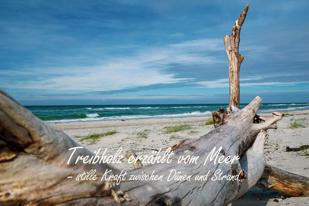 Meer Kalender 2026 - Ostseemotiv mit Text | Gestalten Sie Ihr Zuhause mit einzigartigen Bildern von Ostsee u. Nordsee – als Leinwandbild, Acryl, Alu-Dibond oder FineArt Hahnemühle, individuell anpassbar.