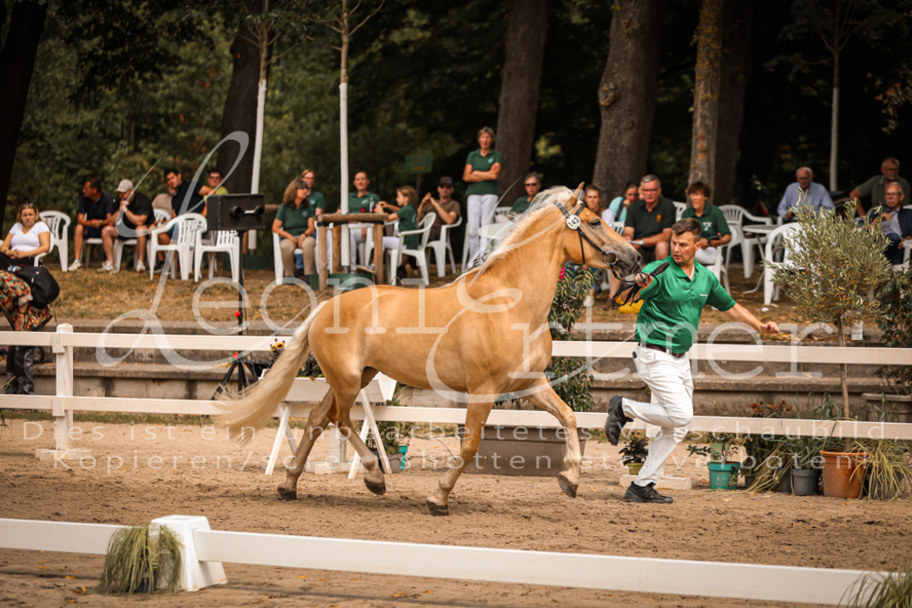 06.So00008 | Leoni Ertmer Photography - Realisiert mit Pictrs.com