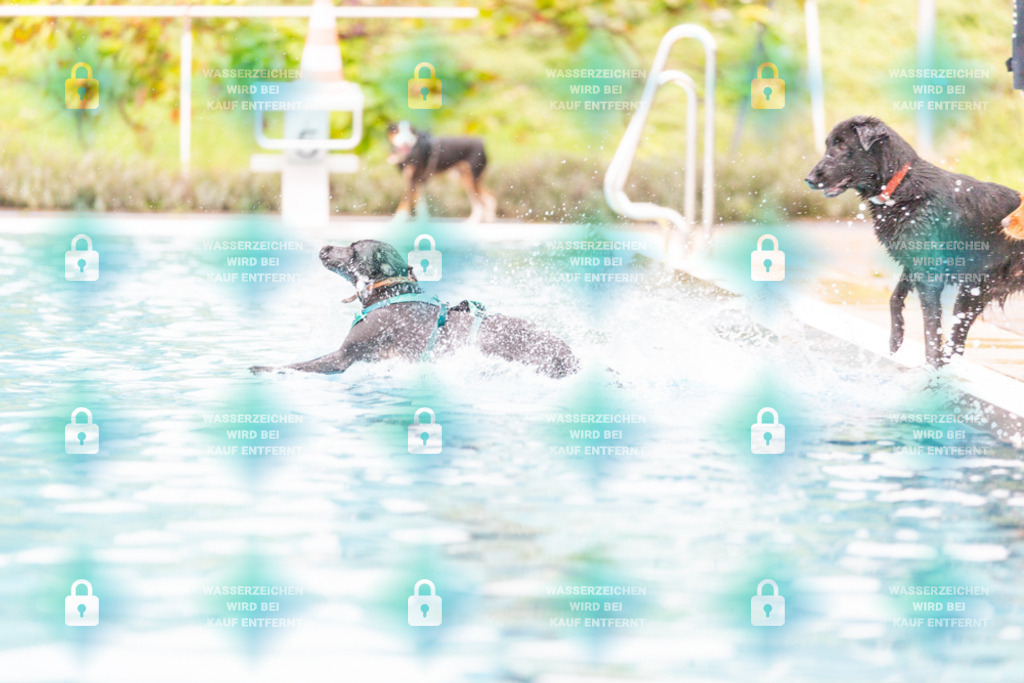 _HP_7300_1000o | HetPix, HetPix Fotodesign, Fotografie, Fotodesign, Webshop, Motorsport, American Football, Event, Events, Onlineshop, Sportfotografie, Polch, Motorsportfotografie, Eventfotografie