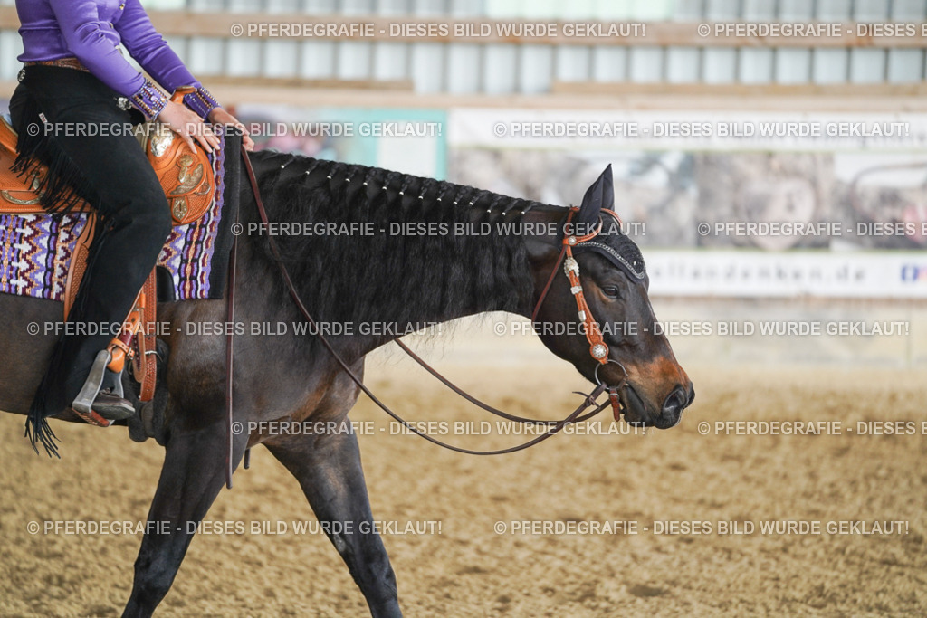 DSC09044 | Pferdegrafie