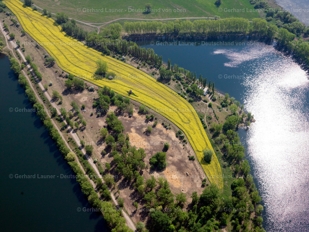 2709487 | Alte Elbe bei Gerwisch
