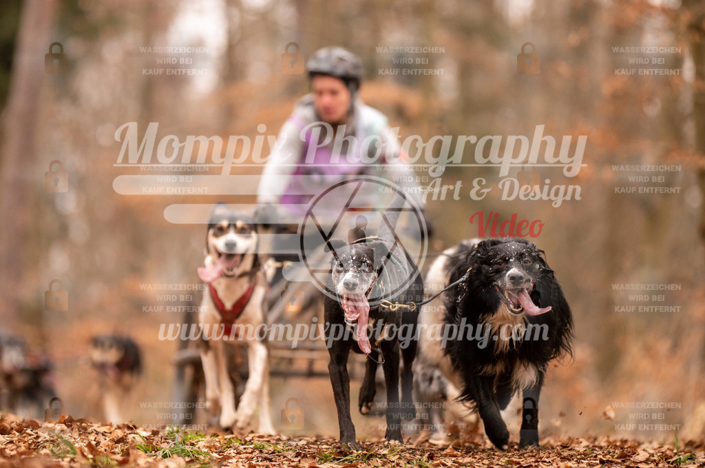 AKM_ST_2023_SAM_DR4-37 | PayLife