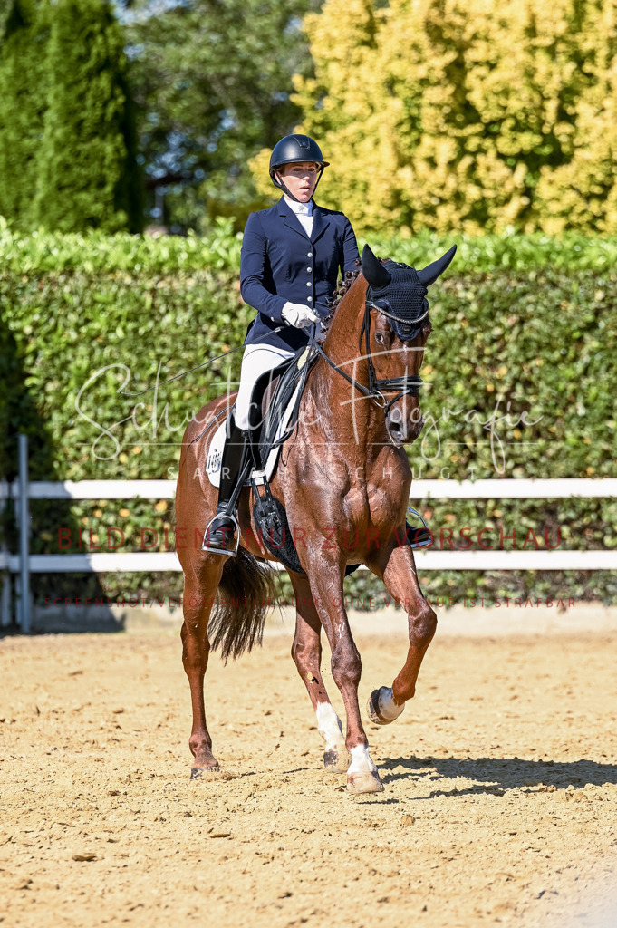 Schugtsche-Aluta25-50.Dressurpferdeprf.L-221 | Schugtsche Fotografie - Realisiert mit Pictrs.com