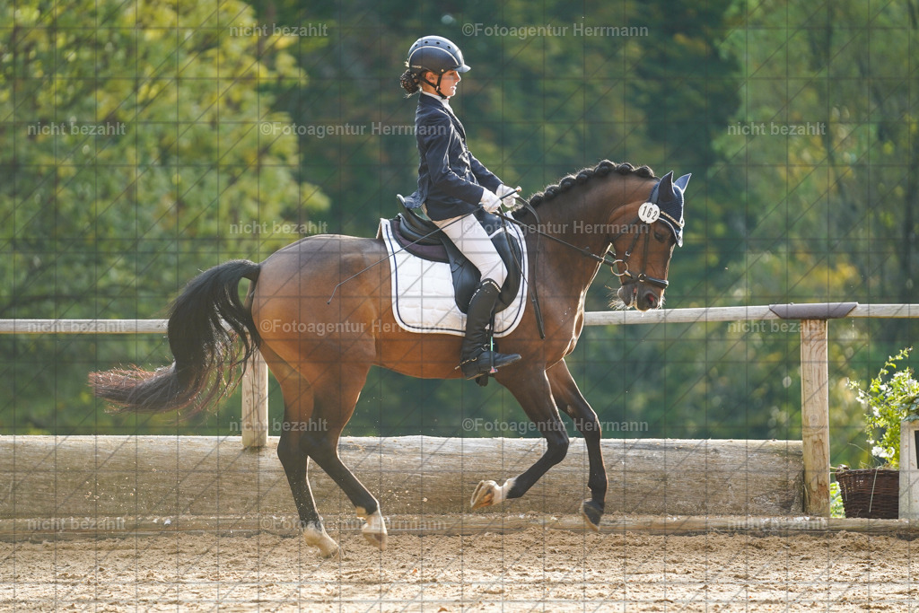 20221008-FAH00820 | Diessen am Ammersee, 2022, Dressur- und Springturnier, Reitsportbilder, Turnierfotografen Bayern, Pferdefotografen, Fotoagentur Herrmann, Turnierbilder