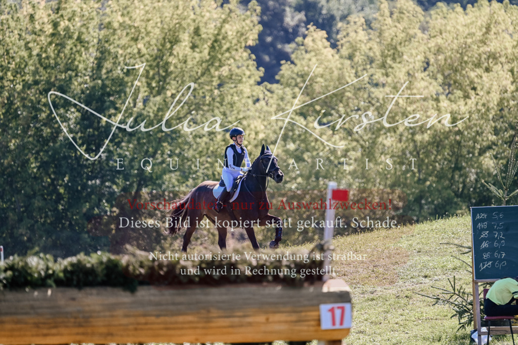 DSC_2771 | Pferde- und Turnierfotografie in Westsachsen. Pferdeportraits, Auftragszeichnungen und intuitive Kunst.