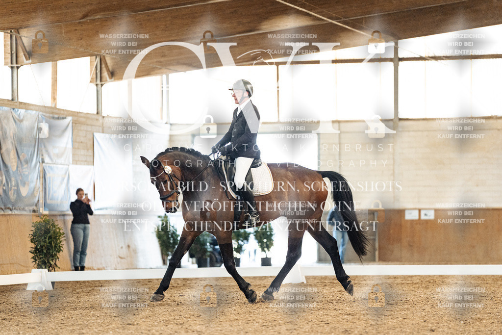 CK909022 | Turnierfotografie Pferdefotografie Trier Rheinland-Pfalz Pferdesport Reitsport Tierfotografie Sportfotografie Pferdevideo Pferdevideografie Equestrianvideography equestrianphotography  - Realisiert mit Pictrs.com