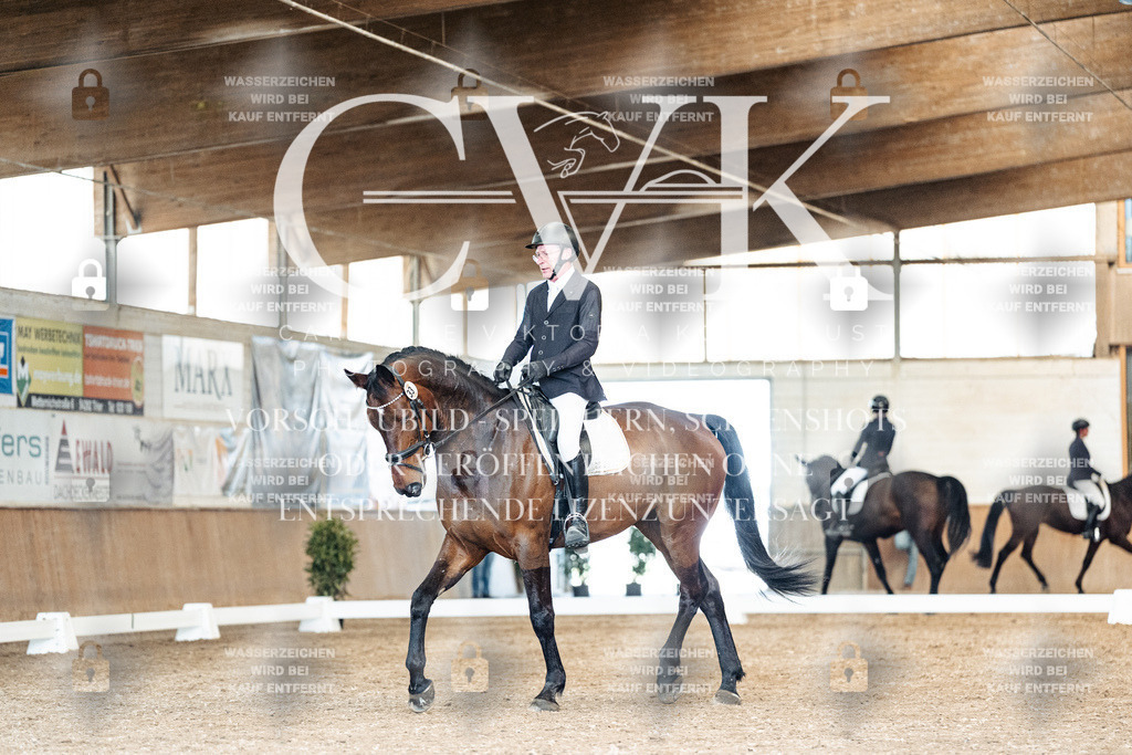 CK901258 | Turnierfotografie Pferdefotografie Trier Rheinland-Pfalz Pferdesport Reitsport Tierfotografie Sportfotografie Pferdevideo Pferdevideografie Equestrianvideography equestrianphotography  - Realisiert mit Pictrs.com