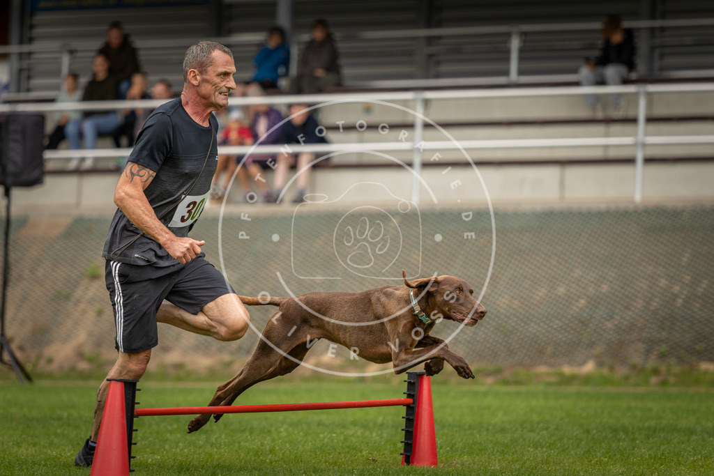 Pfotenfotografie_DV3A7807 | Hundefotografie, Tierfotograf, Pfotenfotografie, Fotoshooting Hund, Hunde Portrait, Hundesport, Hundeportraits, Heideshooting, Hunde, Sportfotograf, Hundefotograf, Turnierhundsport, THS,  - Realisiert mit Pictrs.com