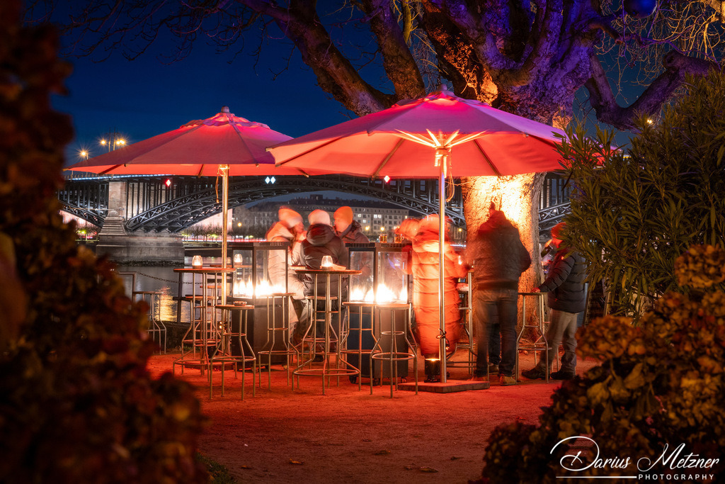 DSC_6767 | Fotografien, Fotos und Bilder aus Mainz, Frankfurt, Wiesbaden und anderen Orten auf der Welt - Fotografiert von Darius Metzner