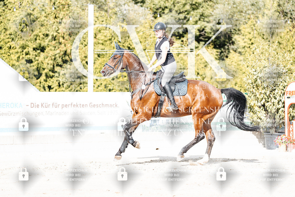CK909127 | Turnierfotografie Pferdefotografie Trier Rheinland-Pfalz Pferdesport Reitsport Tierfotografie Sportfotografie Pferdevideo Pferdevideografie Equestrianvideography equestrianphotography  - Realisiert mit Pictrs.com
