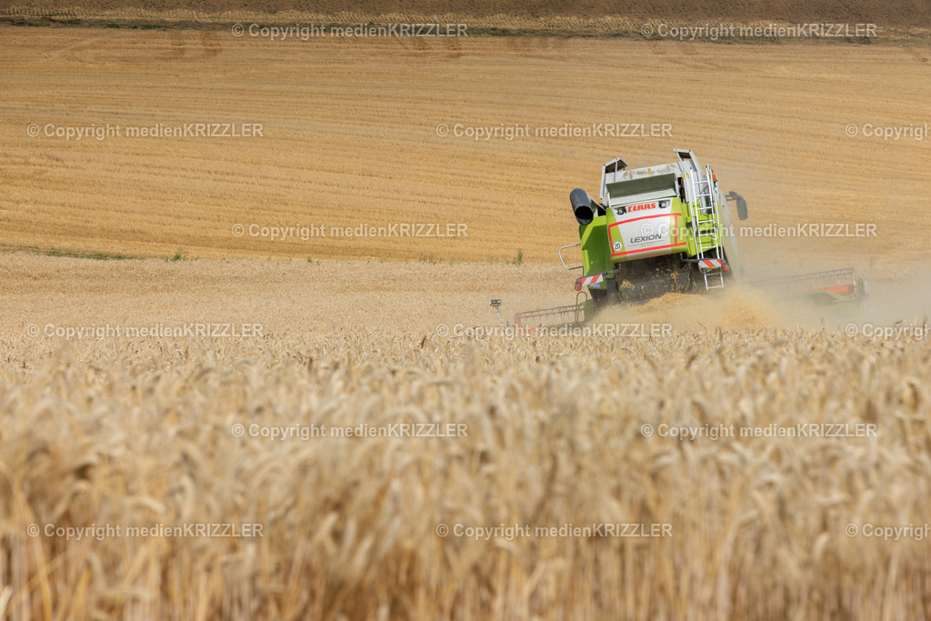 Erntezeit | medienkrizzler - Realisiert mit Pictrs.com