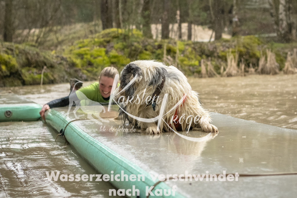 1046_ZZ93365-Bearbeitet | kk-dogfotos