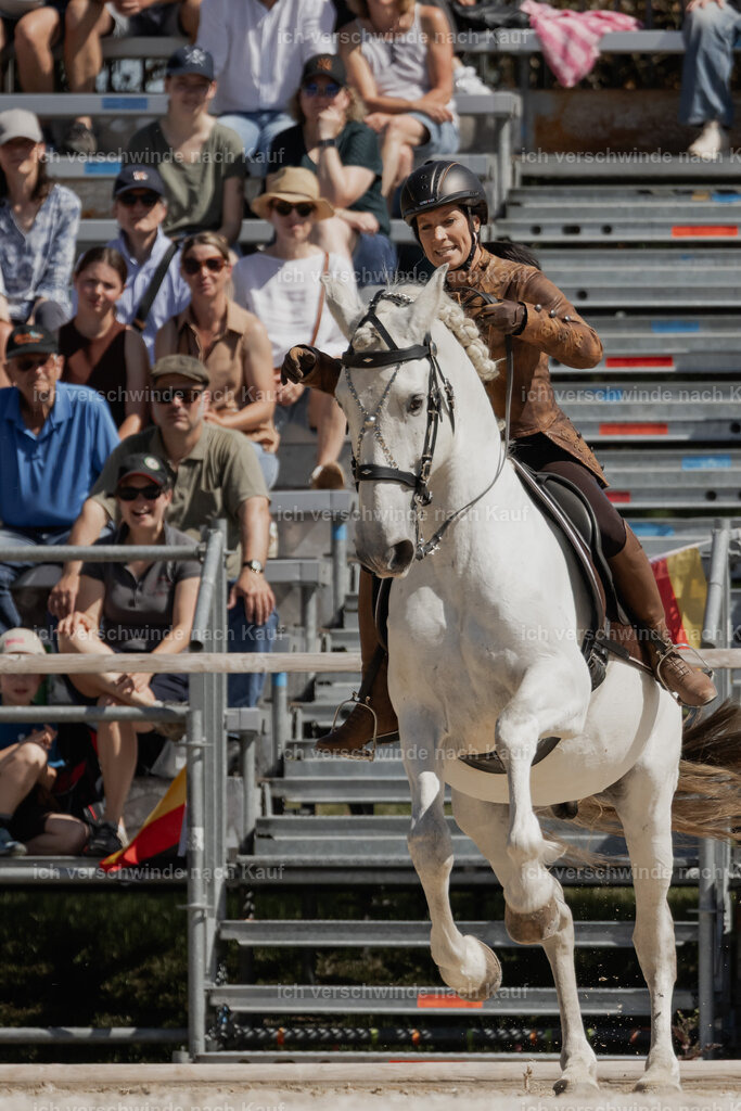 WE_SP_Stoib_347_PI2025_1547 | Pferd International München 2025