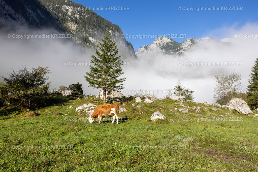 Königssee | medienkrizzler - Realisiert mit Pictrs.com