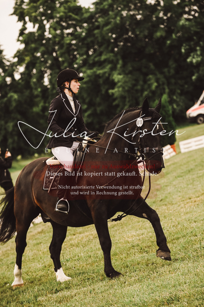 DSC_4996 | Pferde- und Turnierfotografie in Westsachsen. Pferdeportraits, Auftragszeichnungen und intuitive Kunst.