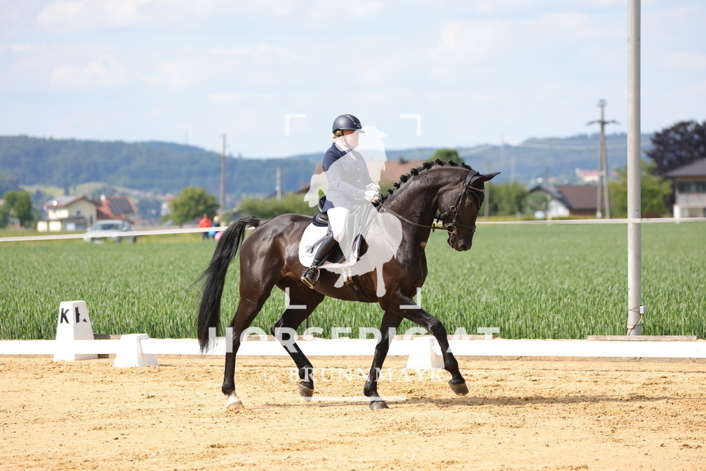 0P6A9083 | Willkommen bei Brunnmayr - Design & Fotografie – Ihrem Spezialisten für Reitturniere und Pferdeveranstaltungen in Oberösterreich, Salzburg und Bayern! Seit über 17 Jahren sind wir leidenschaftlich dabei.