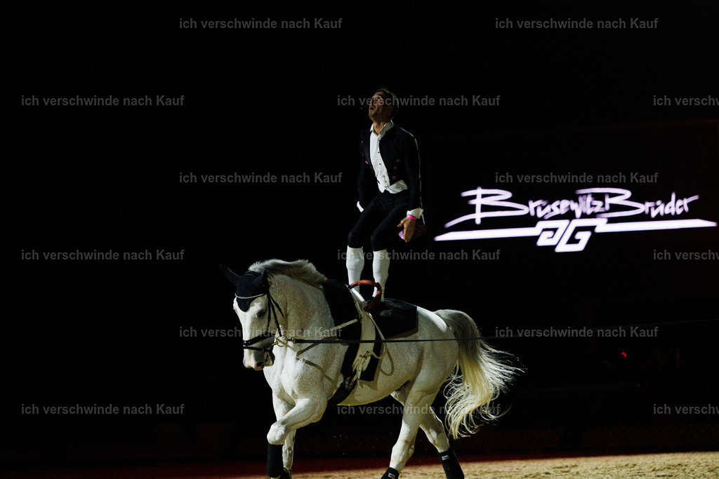 FHClassics-202 | working equitationturnier fotograf videograf stoibphotography marixx film working equitation deutschland reitsport turnierfotografie eventfotografie equestrian events