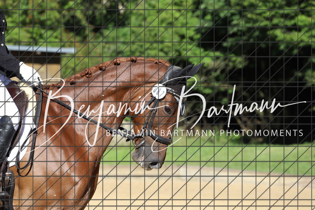 IMG_5115 | Benjamin Bartmann Photomoments