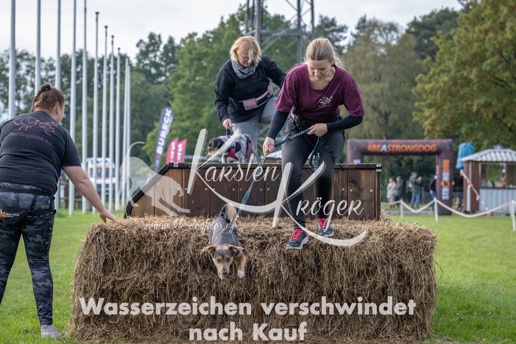 1504-95000 | kk-dogfotos