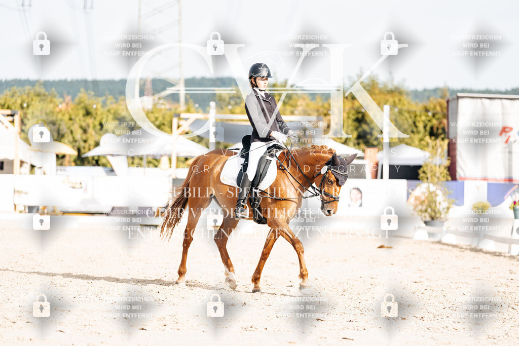 CK904494 | Turnierfotografie Pferdefotografie Trier Rheinland-Pfalz Pferdesport Reitsport Tierfotografie Sportfotografie Pferdevideo Pferdevideografie Equestrianvideography equestrianphotography  - Realisiert mit Pictrs.com