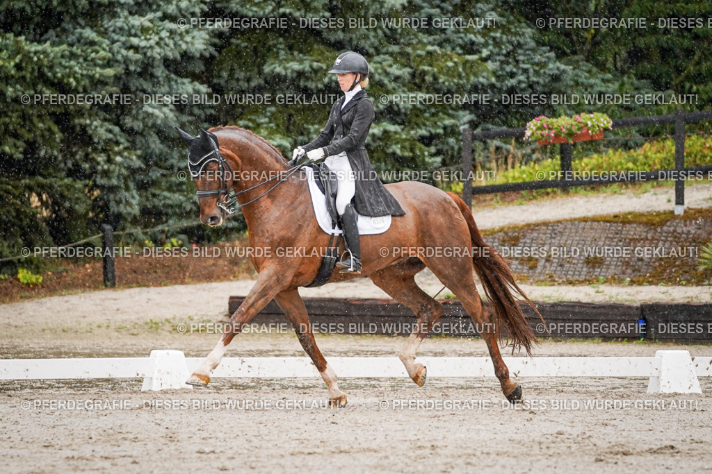 DSC09248 | Pferdegrafie