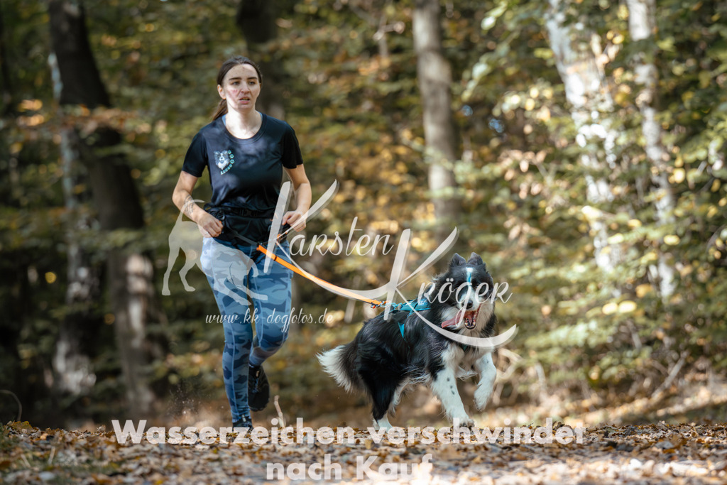 1246_ZZ96066 | kk-dogfotos