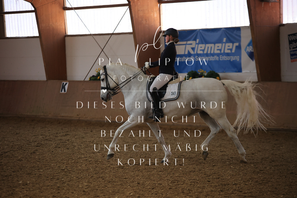 IMGT3655 | pl-fotografie