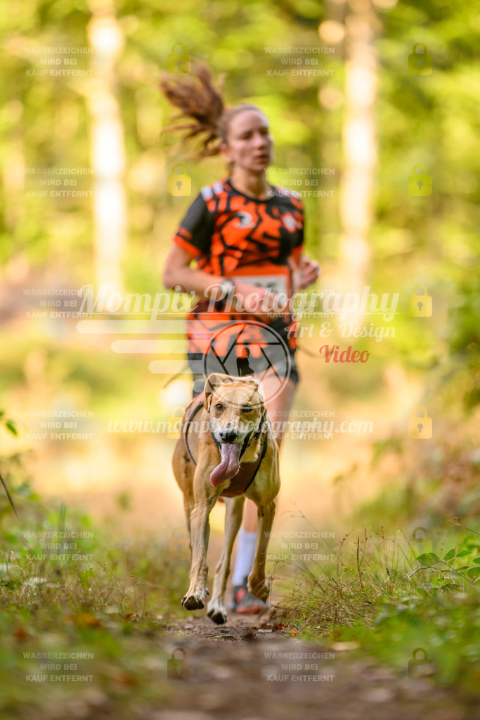 MompixPhotography_Yens2025_B3-216 | PayLife